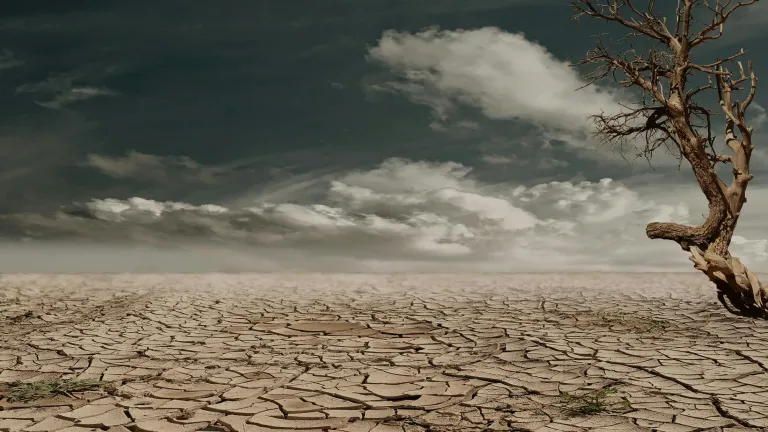 Barren cracked desert ground under a dramatic sky with dark clouds and a single leafless tree standing to the right.