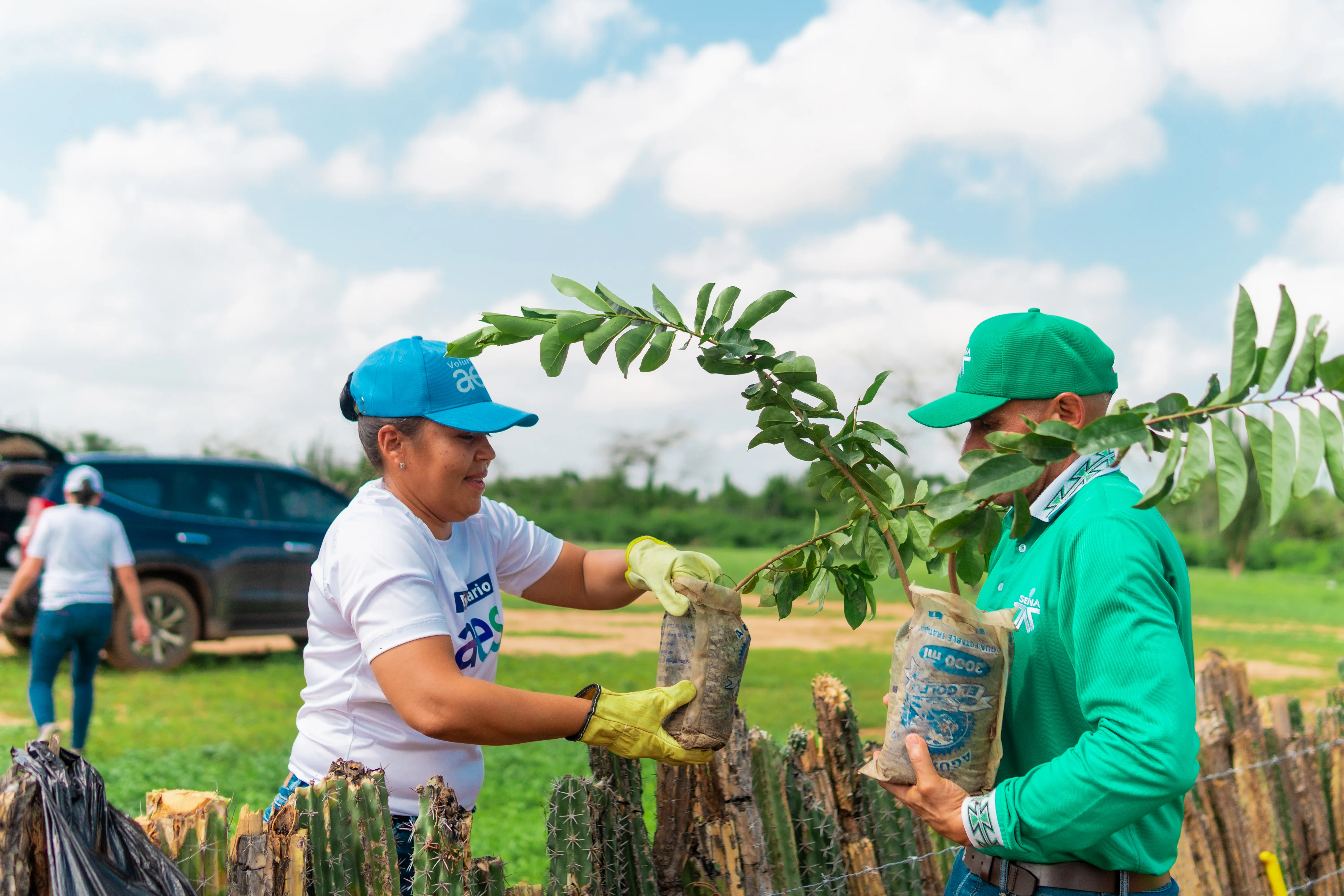 Two volunteers in AES caps planting tree saplings in rural field as part of environmental restoration project