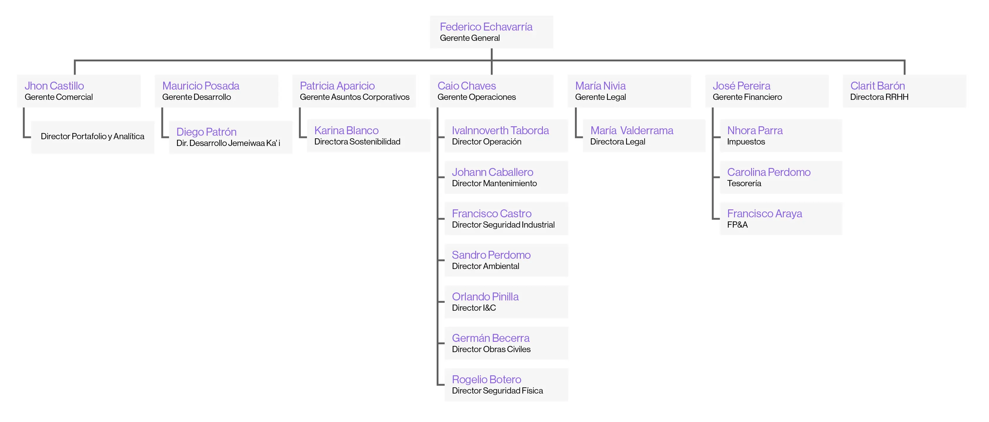 Organizational chart showing hierarchy with Federico Echavarría as General Manager at the top. Below are managers: Jhon Castillo, Mauricio Posada, Patricia Aparicio, Caio Chaves, María Nivia, José Pereira, and Clarit Barón, each with their respective departments and directors.